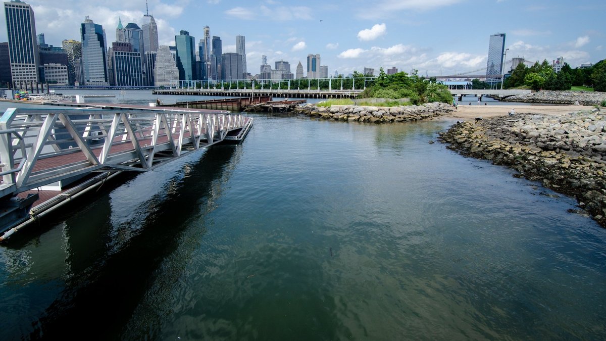 Harbor Heights, NY - History of New York Harbor — Billion Oyster Project